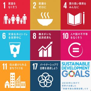 Sdgs Goals of SDGs related to persons with disabilities