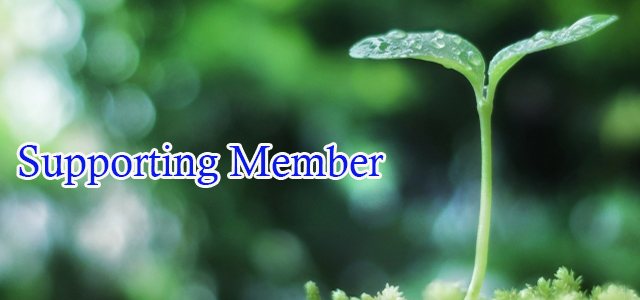 supporting member
